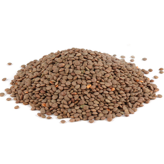 Brown Lentils