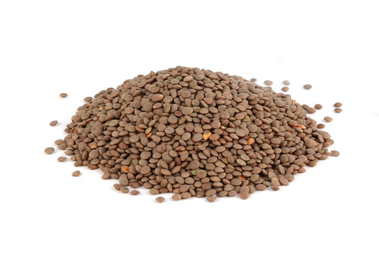 Brown Lentils