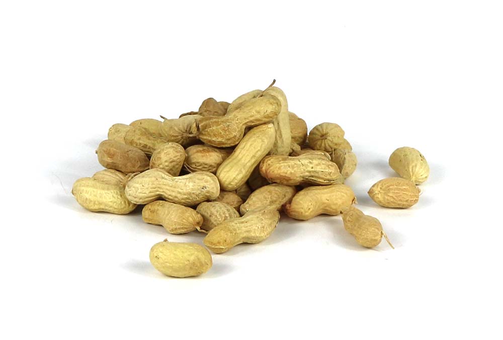 A Pile Of Peanuts in Shell (Monkey Nuts) On A White Background