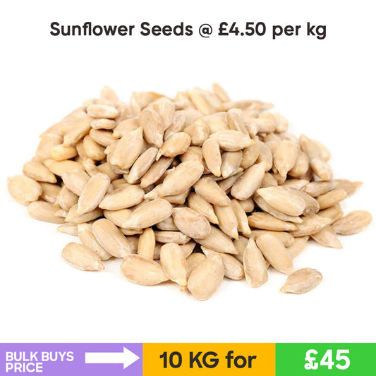 Sunflower Seeds (10KG)- Bulk Buys