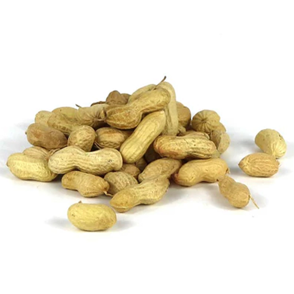 Raw peanuts in shell on white background
