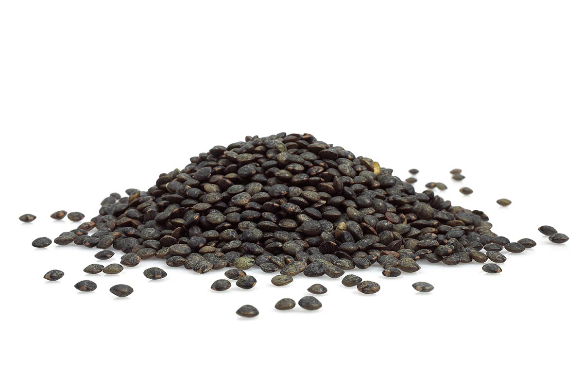 Buy Puy Lentils Online UK