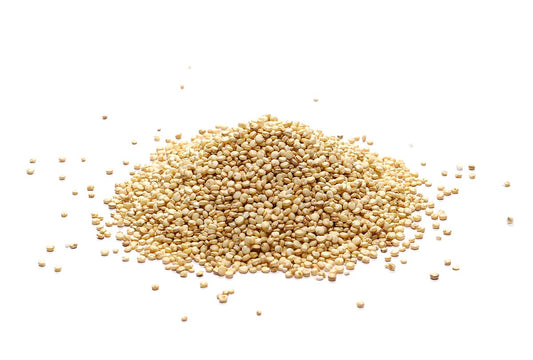 Quinoa Grain (White)